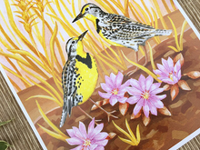 Meadowlarks Art Print, 8x10"