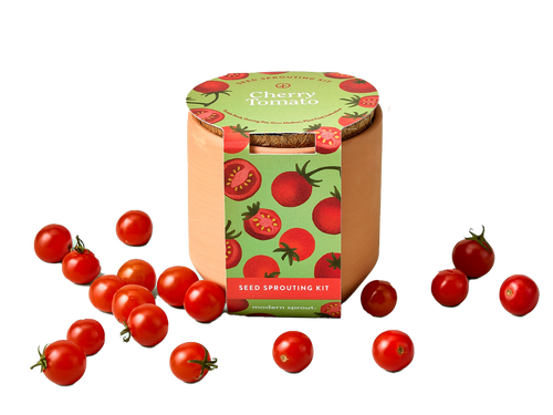 Tiny Terracotta Garden Kit, Cherry Tomato