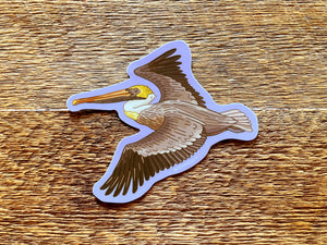 Brown Pelican Sticker