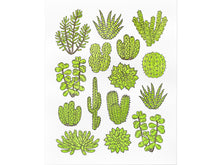 Cacti & Succulents Art Print