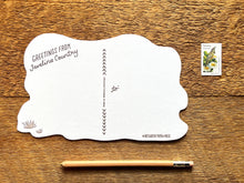 Javelina Postcard