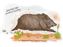 Javelina Postcard