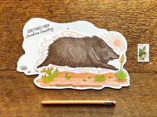 Javelina Postcard