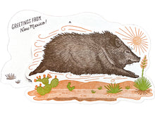 Javelina Postcard