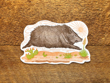 Javelina Postcard