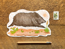 Javelina Postcard