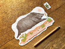 Javelina Postcard