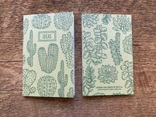 Cacti & Succulents Pocket Notebook Set