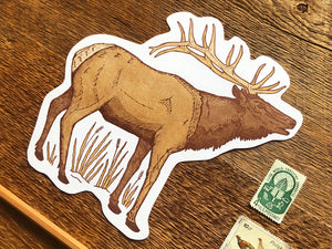 Elk Postcard