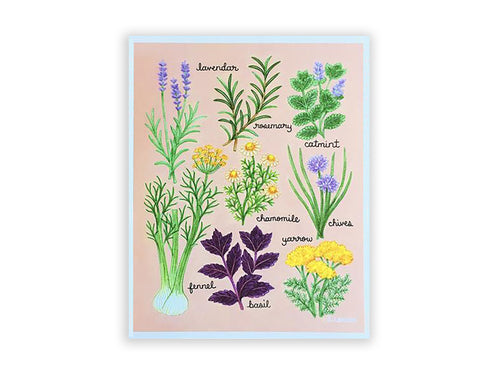 Illustrated Herbs Art Print, 8x10in