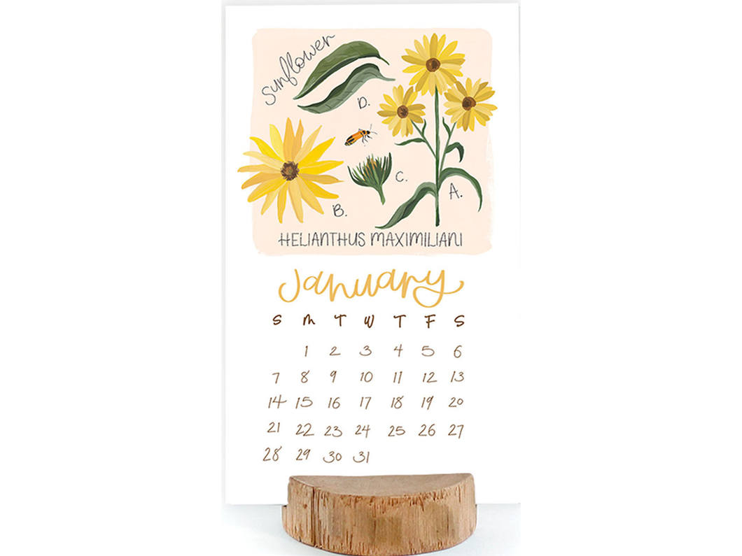 2024 Stump Calendar, Wildflower Botanicals Noteworthy Paper & Press