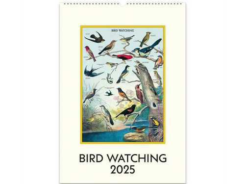 2025 Birdwatching Wall Calendar