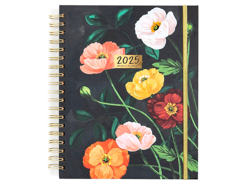 2025 12-Month Pacifica Planner