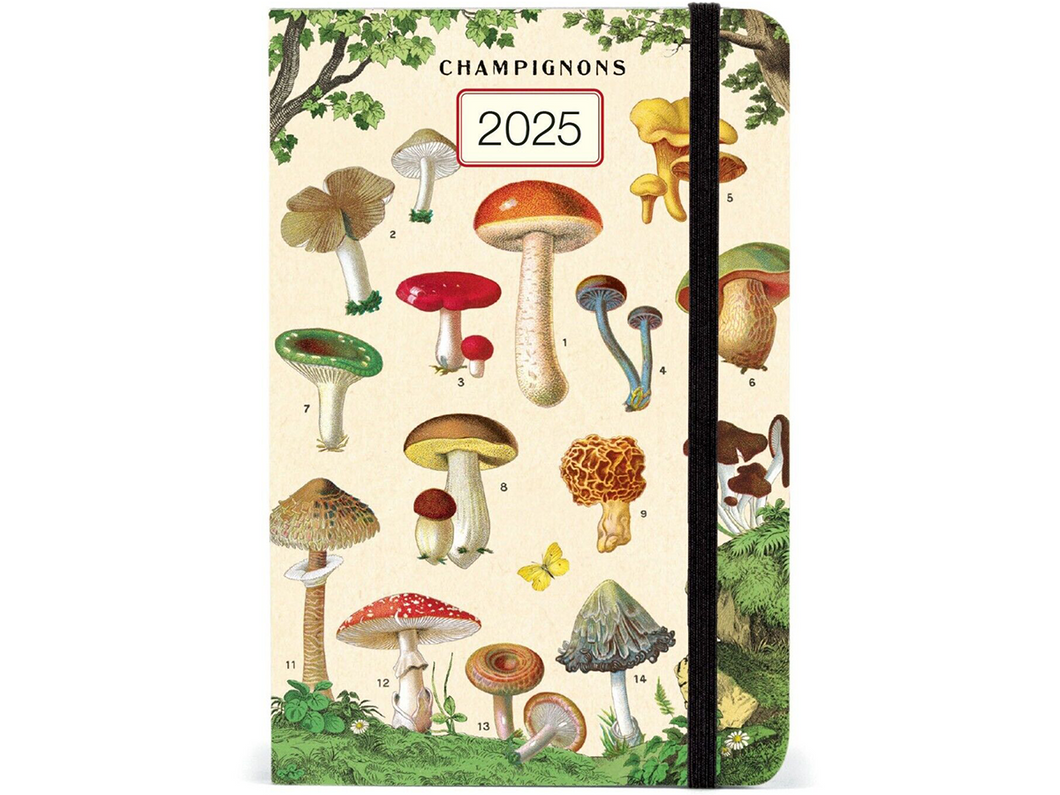 2025 Weekly Planner, Mushrooms