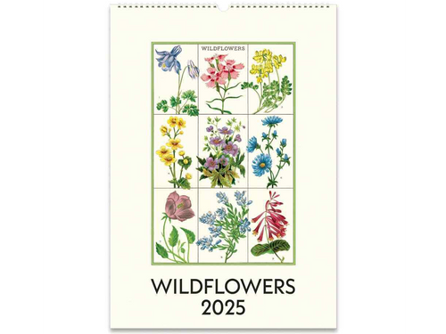 2025 Wildflowers Wall Calendar