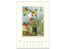 2026 Entomology Wall Calendar