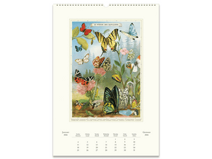 2026 Entomology Wall Calendar