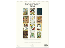 2026 Entomology Wall Calendar