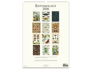 2026 Entomology Wall Calendar