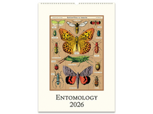 2026 Entomology Wall Calendar