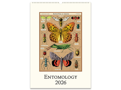 2026 Entomology Wall Calendar