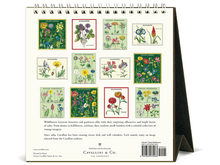 2026 Wildflowers Desk Calendar