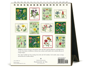 2026 Wildflowers Desk Calendar