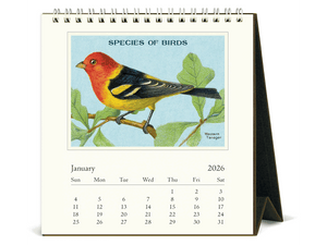 2026 Birds Desk Calendar