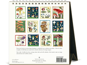 2026 Foraging Desk Calendar