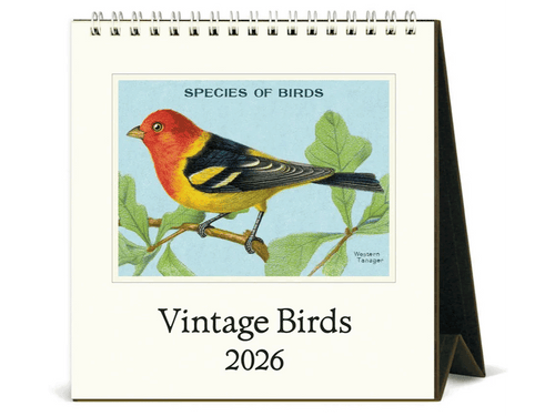 2026 Birds Desk Calendar