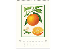 2027 Farmer's Market Wall Calendar
