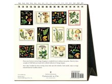 2027 Foraging Desk Calendar