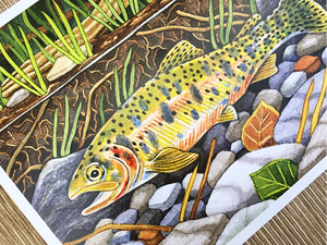 Cutthroat Trout Art Print, 8x10"