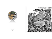 Angela Harding Coloring Book