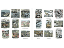 Angela Harding Coloring Book