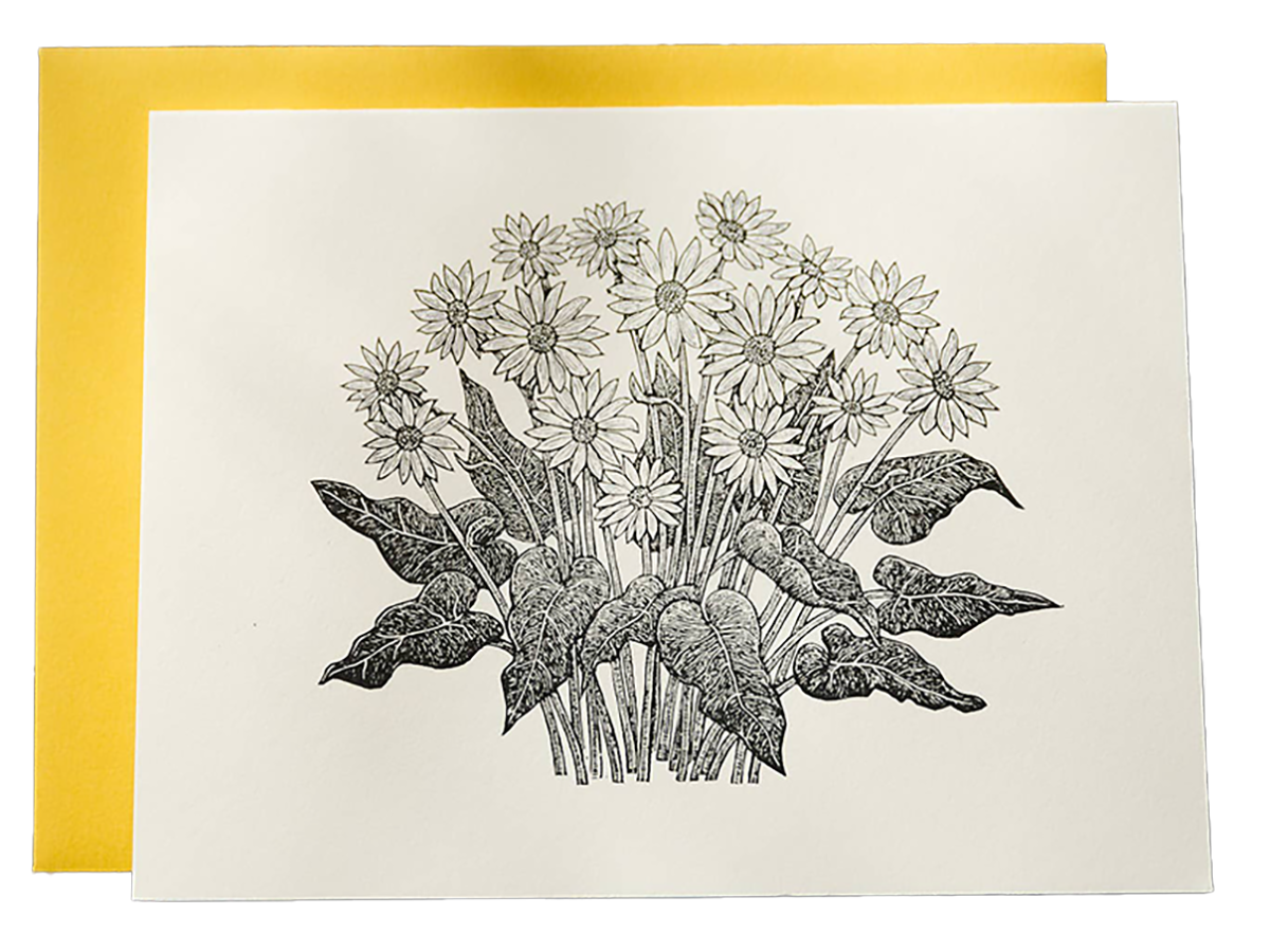 Arrowleaf Balsamroot, Single Card – Noteworthy Paper & Press