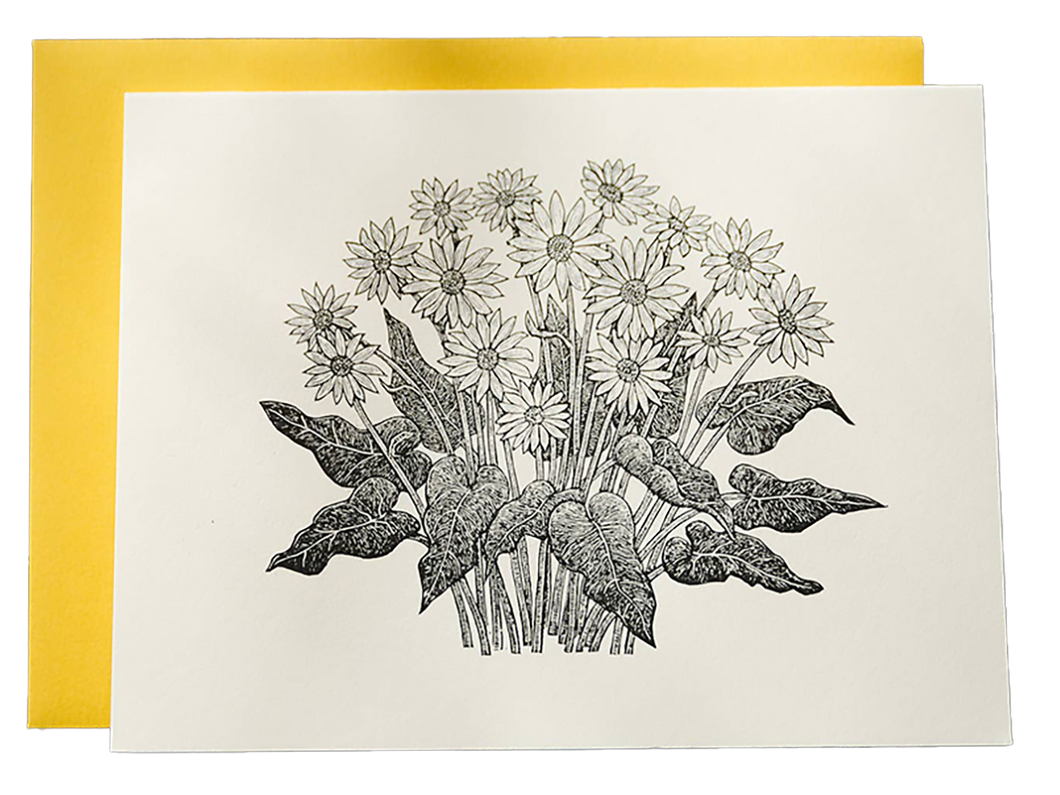 Arrowleaf Balsamroot, Single Card