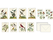 Birds, Stationery Set