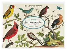 Birds, Stationery Set