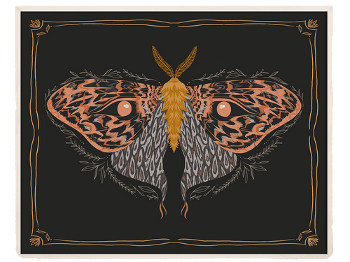 Golden Moth Giclee Print