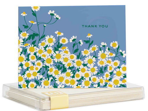 Chamomile Thank You, Boxed Set of 8