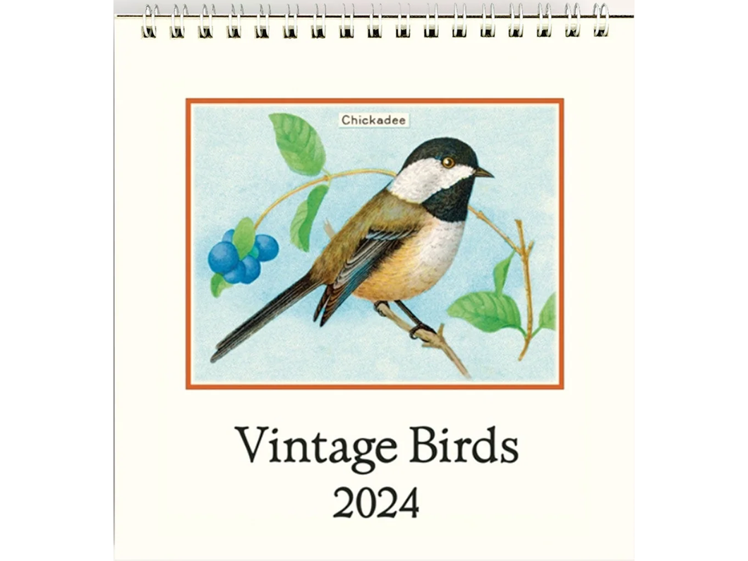 2024 Birds Desk Calendar