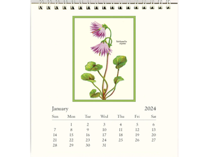 2024 Wildflowers Desk Calendar