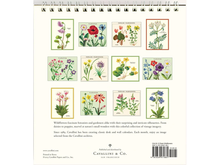2024 Wildflowers Desk Calendar