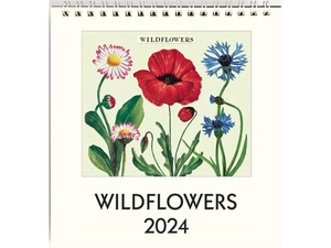 2024 Wildflowers Desk Calendar