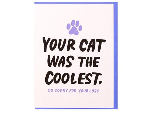 Coolest Cat Sympathy, Single Card