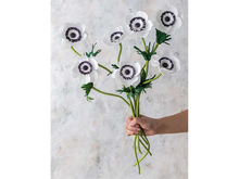 Crafting Paper Flowers by Emily Paluska