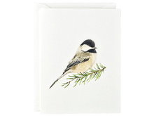 Evergreen Notecards, Set of 8