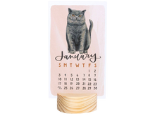 Feline Friends Cats 2027 Mini Desk Calendar