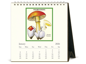 2026 Foraging Desk Calendar